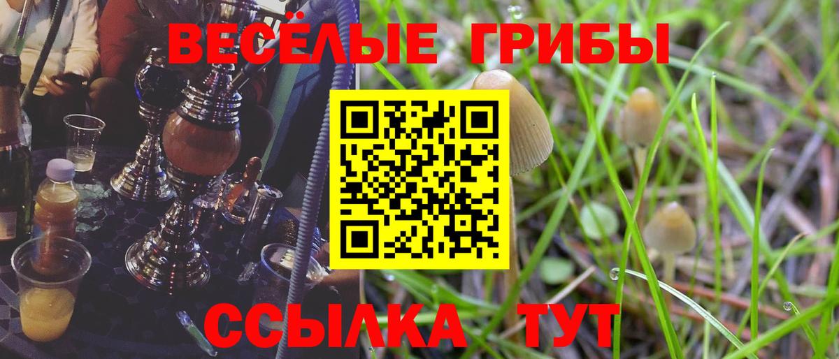 Норильск  как найти   Вход с VPN  Псилоцибиновые грибы мухоморы 
